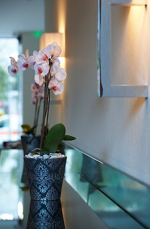 PER SE ORCHID