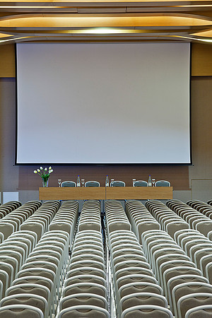 "Maistro" Main Conference Hall (Theater Style)