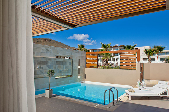 Executive Suite Private Pool
