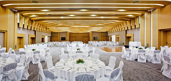 "Maistro" Main Conference Hall (Banquet)