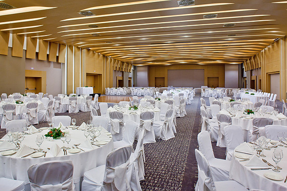"Maistro" Main Conference Hall (Banquet)