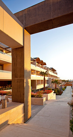 General Overview