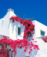 YRIA HOTEL RESORT - PAROS - GREECE