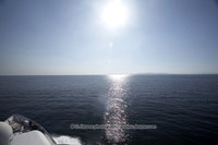 Serena-Bow-under-the-Sun