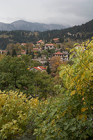 Agoriani