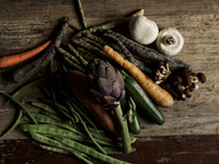 Gastronomy | High Res.