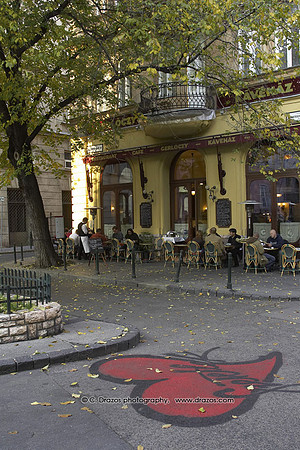 DRZ--Budapest-063537