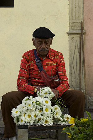 HAVANA-(39)
