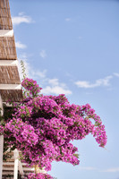 Boheme Mykonos   2021 | Low Res.