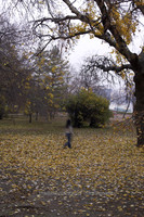 DRZ--Budapest-064192