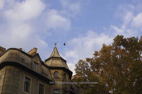 DRZ--Budapest-063552