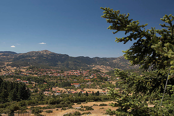 Vitina