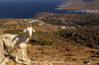 Andros-Island-177