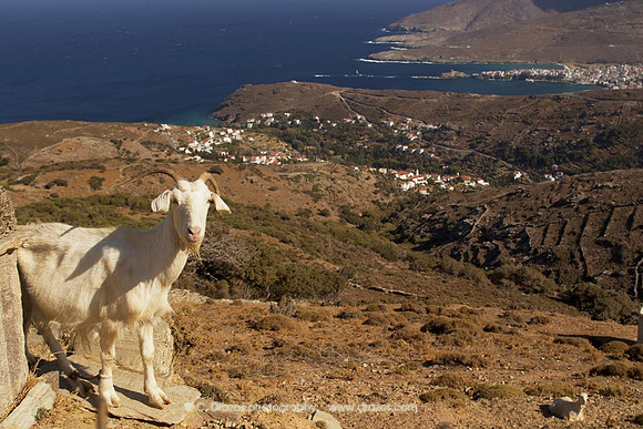 Andros-Island-177