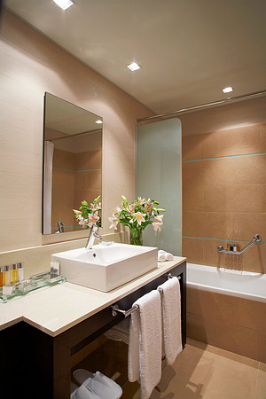 CLUB SUITE BATHROOM 1
