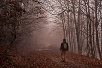 Grand Forest | Winter 2022-23 | Low Res.