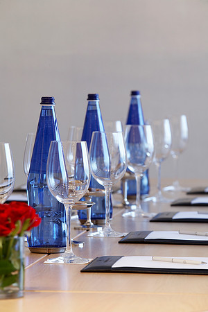 PHAEDRA BOARDROOM SET-UP CLOSE-UP 1