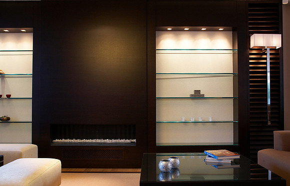 PER SE FIREPLACE & BOOKCASE