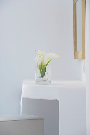 detail from the Junior Suite