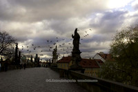 Prague-034-1