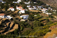 Andros-Island-171