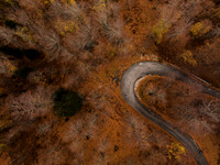 Grand Forest | Winter 2022-23 | High Res.