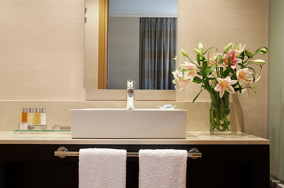 CLUB SUITE BATHROOM 2