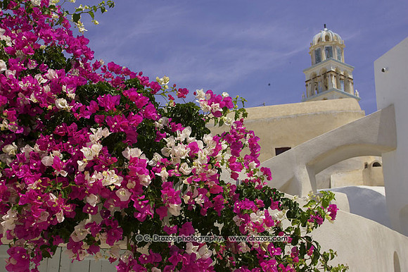 Santorini_-(158)